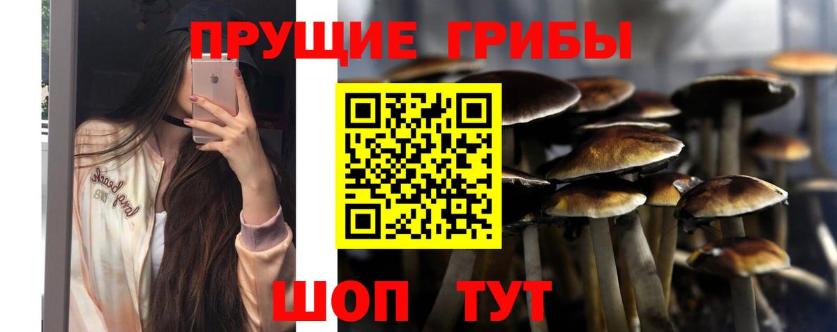 Псилоцибиновые грибы мицелий  Вход с VPN  Печора  Псилоцибиновые грибы Psilocybine cubensis 